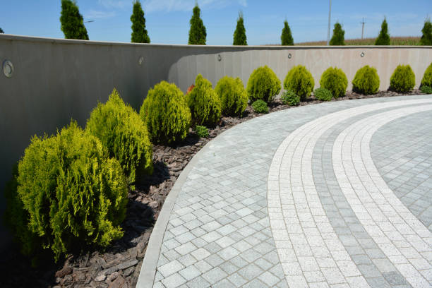 Reasons to Select Us for Your Driveway Paving Requirements in Pajaro, CA